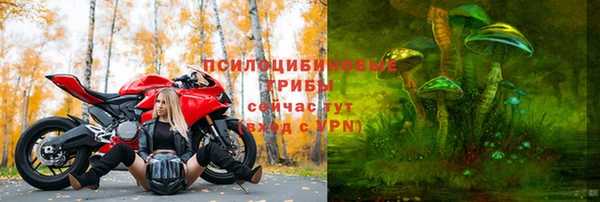 ГАЛЛЮЦИНОГЕННЫЕ ГРИБЫ Беломорск